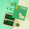 Eight Horse - Green Tea · Long Jing ★ ★ ★ ★ ★ Premium